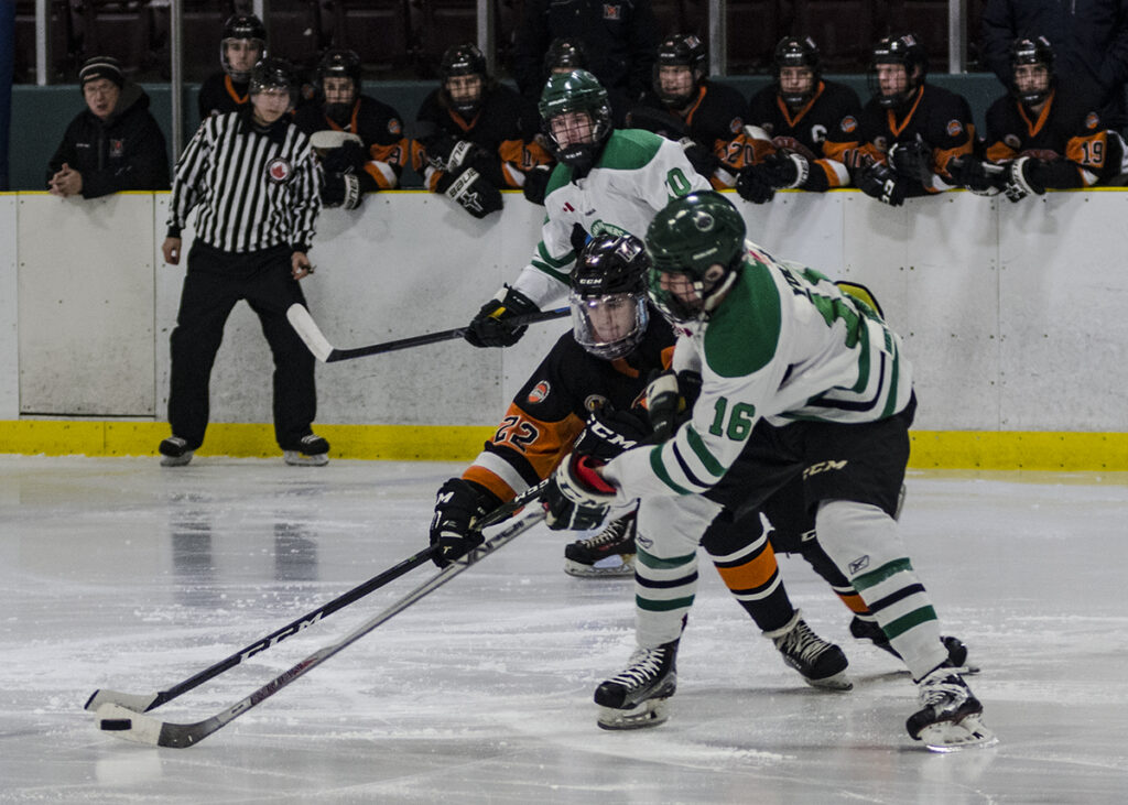 Hockey action