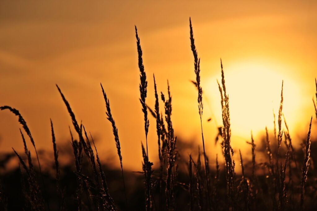 5 Quick Tips for Stunning Sunset Photos